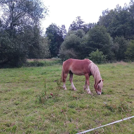 Strohm Im Lieth Cafe